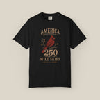 America In The Wild, 250 Years of Wild Skies