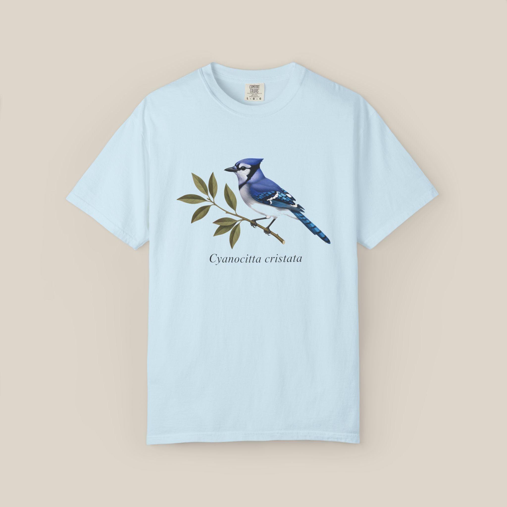 Blue Jay