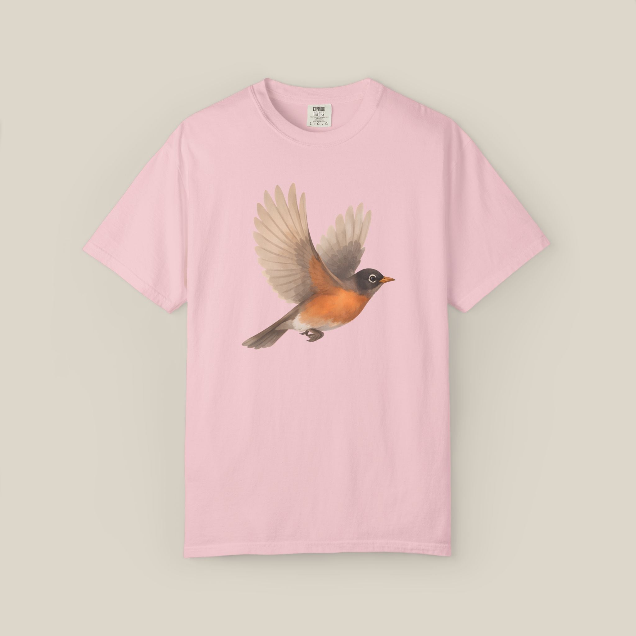 American Robin in Motion