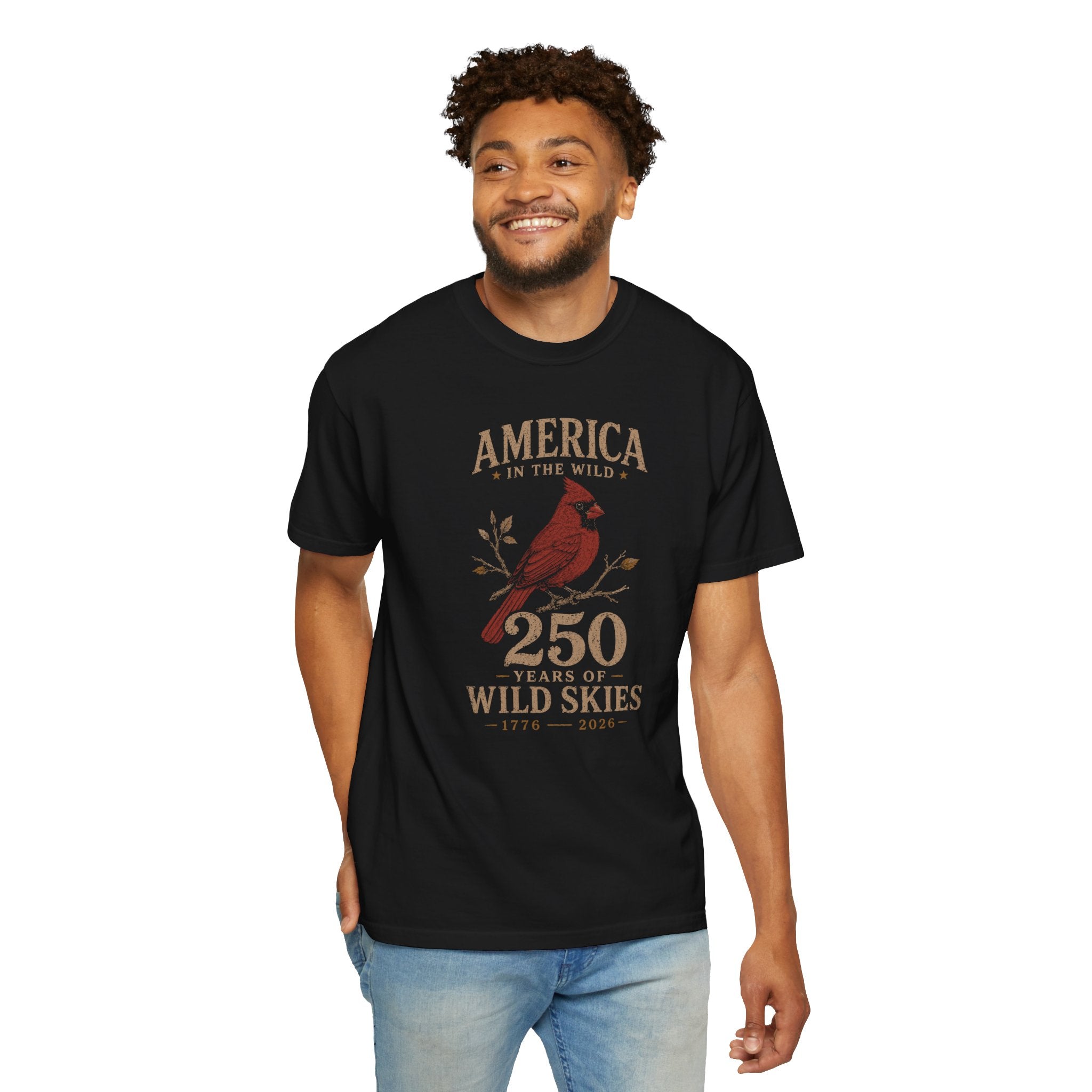 America In The Wild, 250 Years of Wild Skies