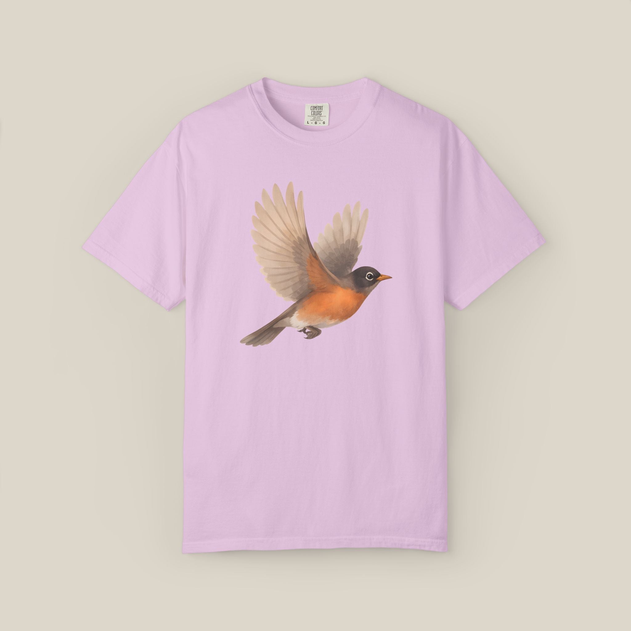 American Robin in Motion