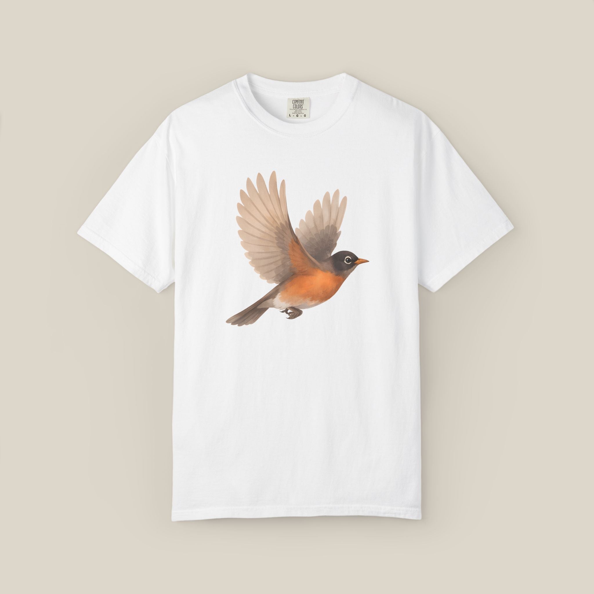 American Robin in Motion