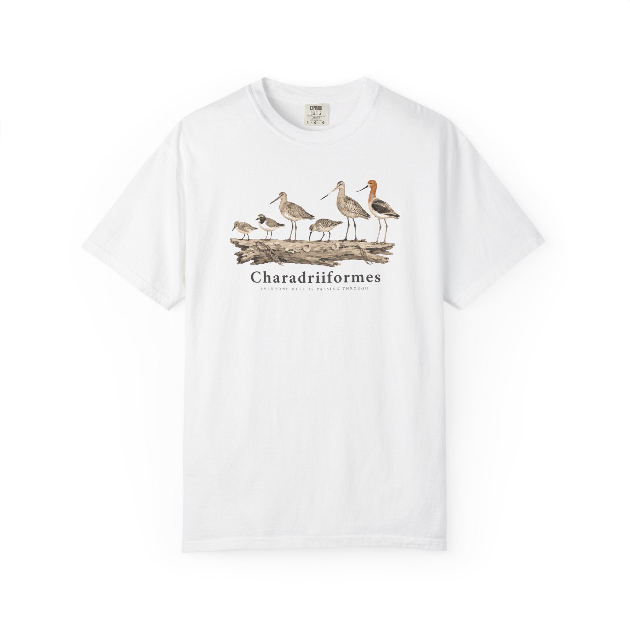 Everyone Here Is Passing Through T-Shirt
