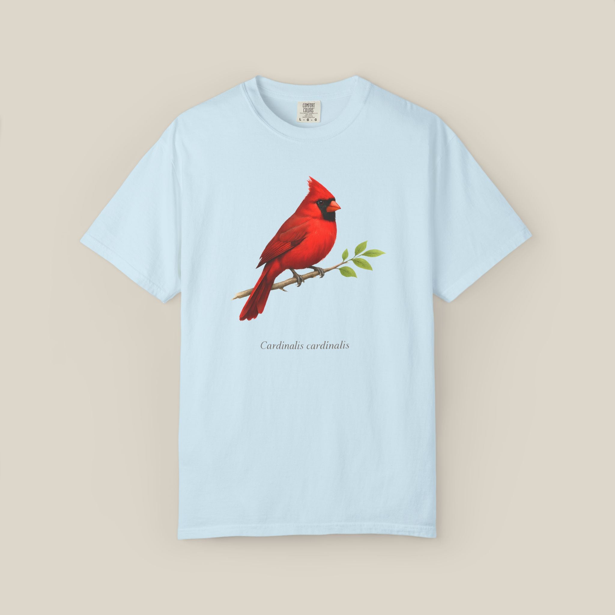 Northern Cardinal