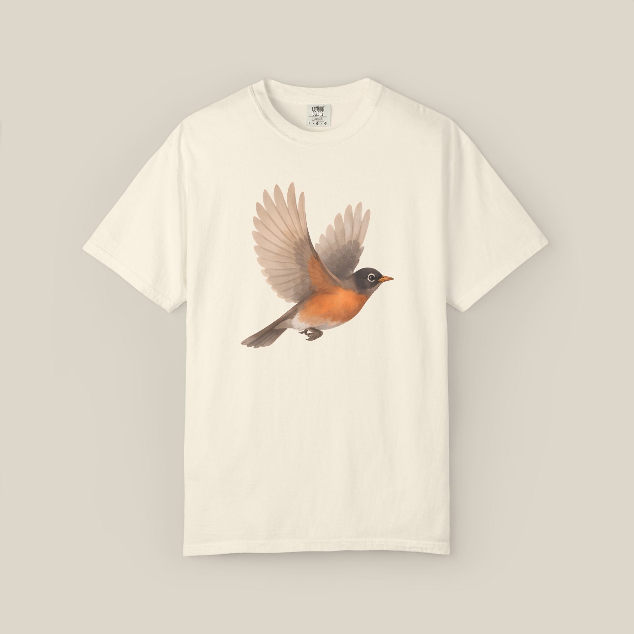 American Robin in Motion