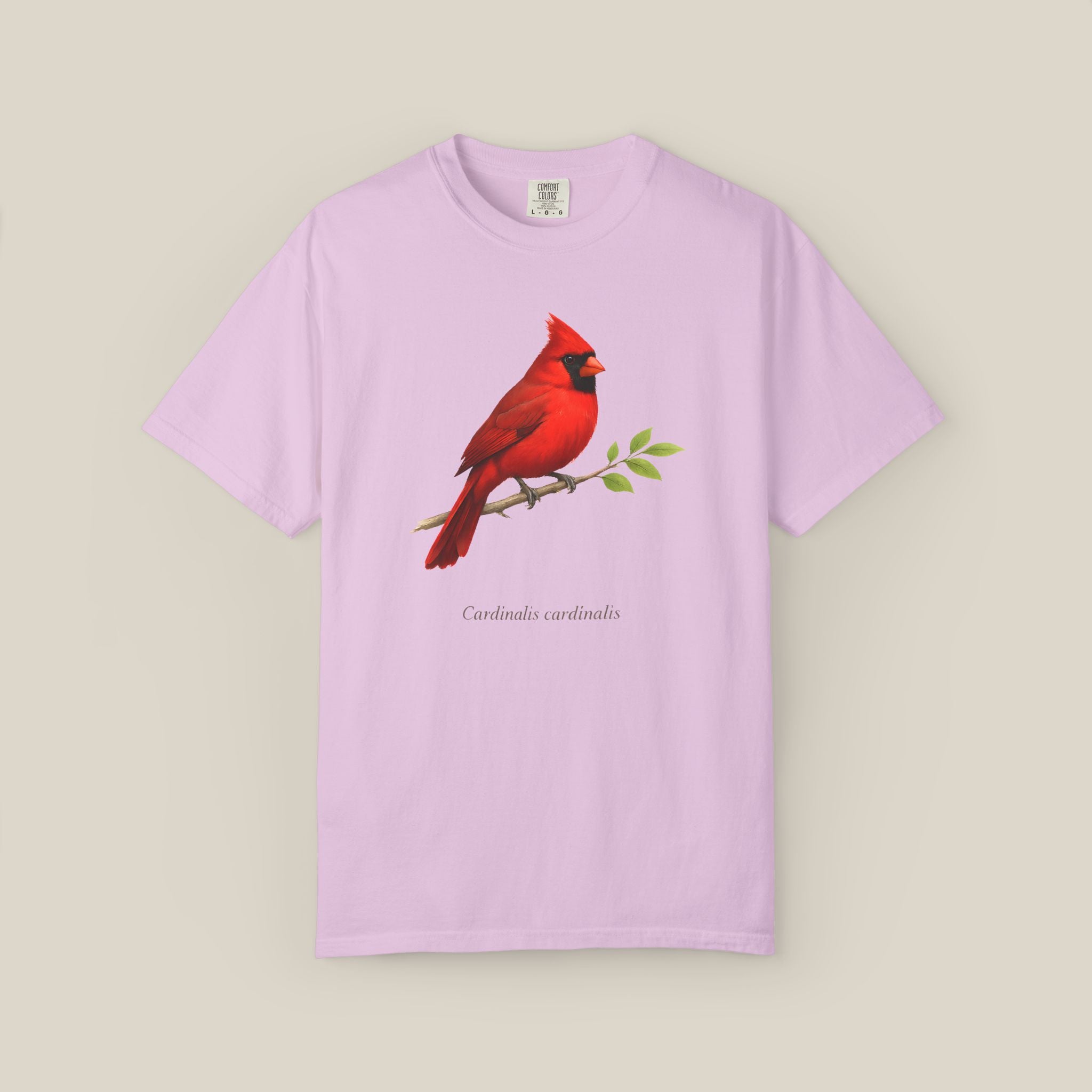 Northern Cardinal