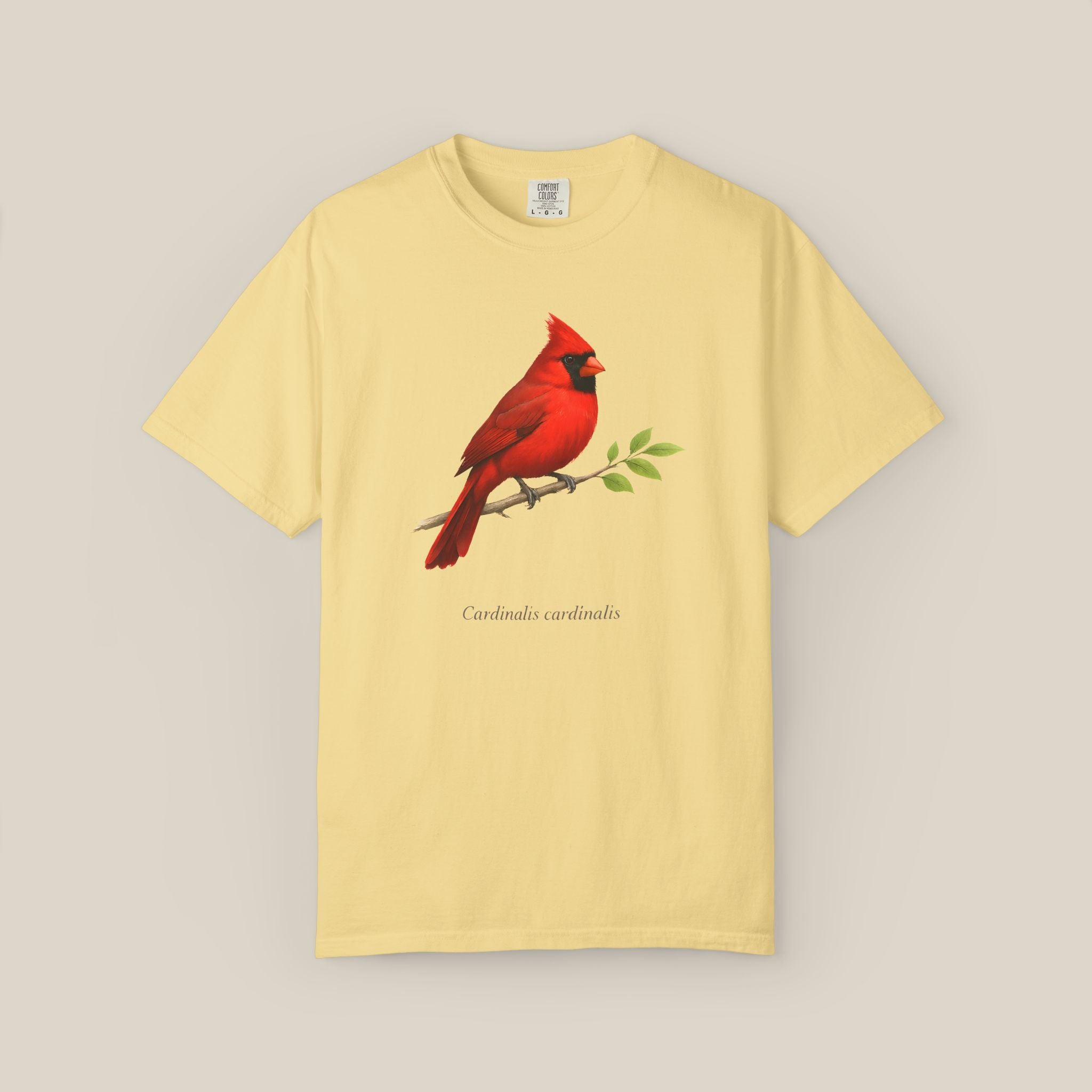 Northern Cardinal