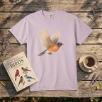 American Robin in Motion