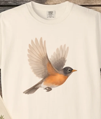 American Robin in Motion