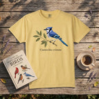 Blue Jay