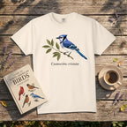 Blue Jay