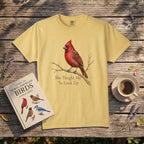 Cardinal, She Taught Me To Look Up