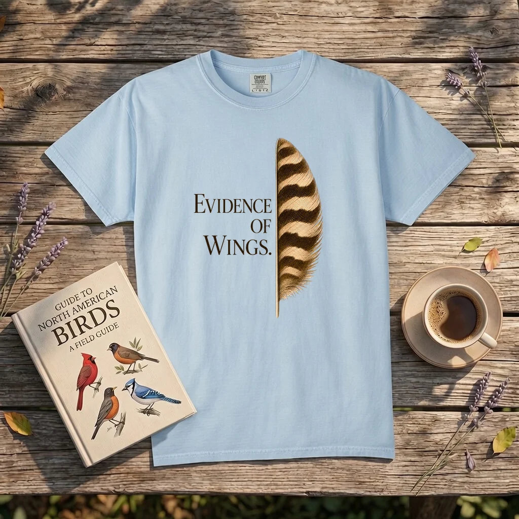Evidence of Wings