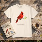 Northern Cardinal