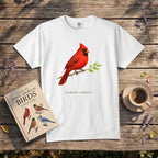 Northern Cardinal