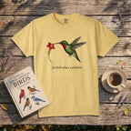 Ruby-throated Hummingbird