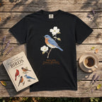 Eastern Bluebird, Sialia Sialis
