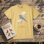 Eastern Bluebird, Sialia Sialis